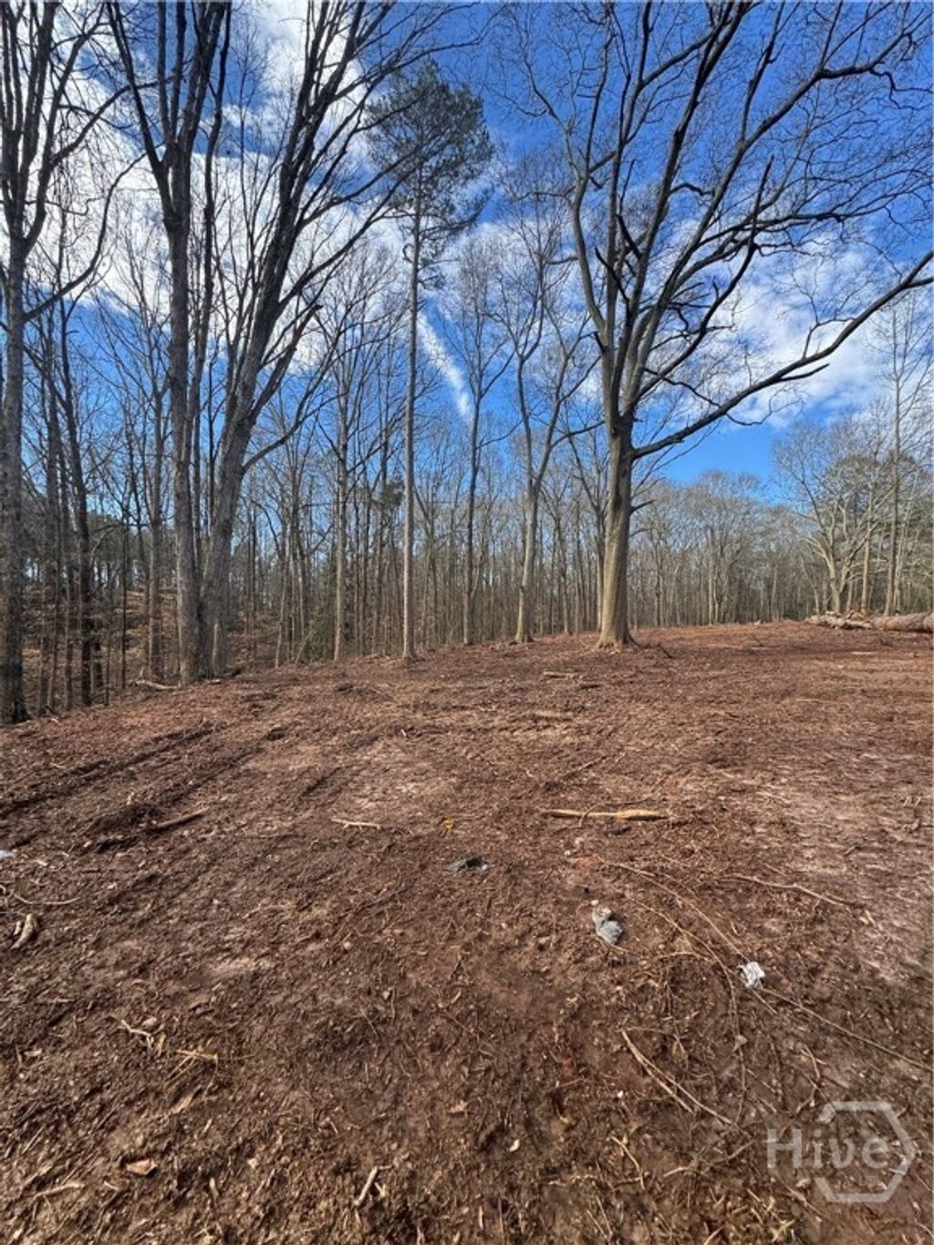 Photo of 231 Roosevelt Circle, Bowman, GA 30624 (MLS # CL349668)