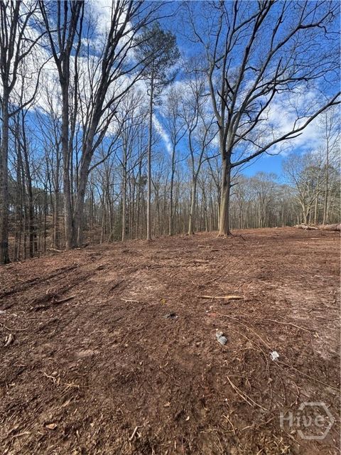 Vacant Land For Sale - 231 Roosevelt Circle<br/> Bowman, GA 30624