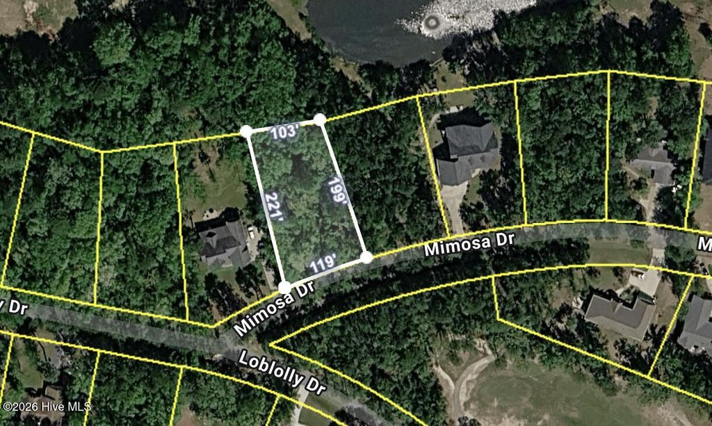 Photo of 707 Mimosa Drive, Vass, NC 28394 (MLS # 100572713)