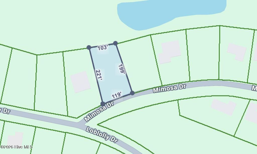 Photo of 707 Mimosa Drive, Vass, NC 28394 (MLS # 100572713)