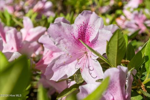 Tiny photo for 1401 Avenel Drive, Wilmington, NC 28411 (MLS # 100556874)