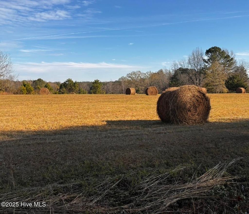 Photo of 1 N. Nc 58 Drive, Nashville, NC 27856 (MLS # 100544858)