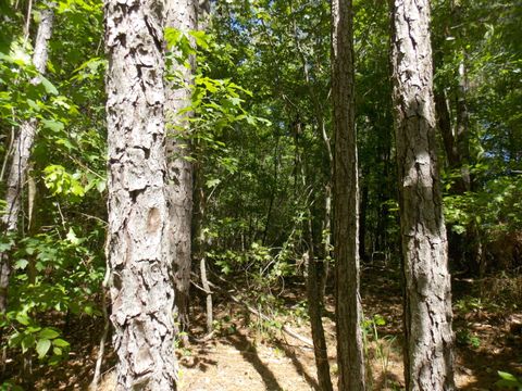 Vacant Land For Sale - 12 Doe Run<br/> Lincoln County, Lincolnton, GA 30817