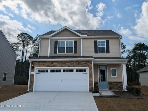 Photo of 92 S Umbrella Palm Drive, Hampstead, NC 28443 (MLS # 100572204)