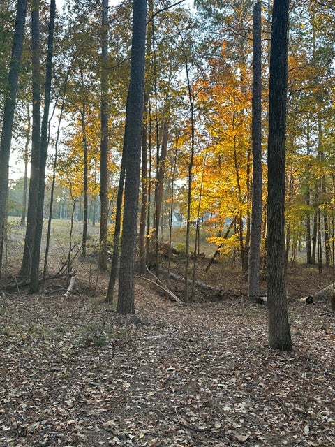 Vacant Land For Sale - 7-3 Long Cove<br/> Lincolnton, GA 30817