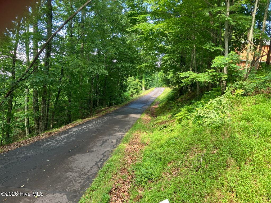 Photo of 51 Buck Ridge Drive, Murphy, NC 28906 (MLS # 100580423)