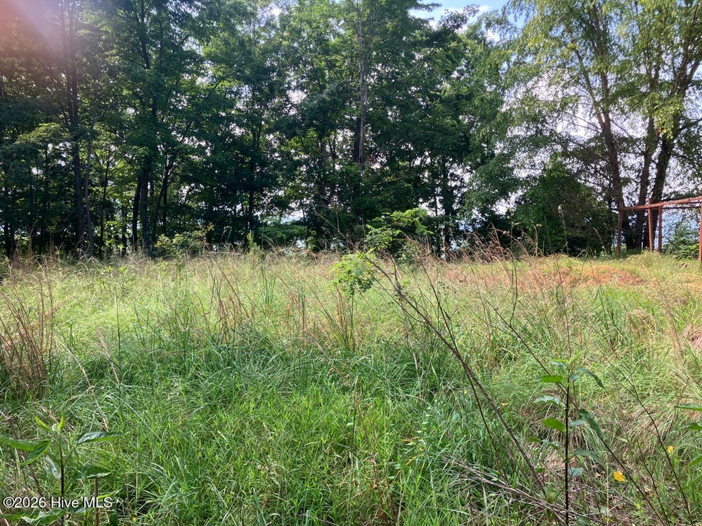 Photo of 51 Buck Ridge Drive, Murphy, NC 28906 (MLS # 100580423)