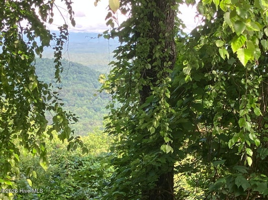 51 BECK LN, HAYESVILLE, NC 28904 - Image e45459a9e467d9fe892e246713473e9e/766989154