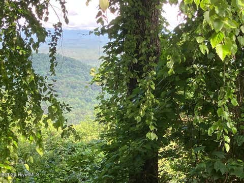 Vacant Land For Sale - LOT 51 Buck Ridge Drive<br/> Murphy, NC 28906