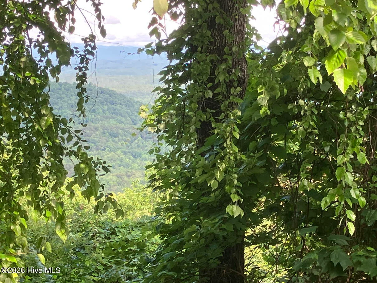 Lot 51 Buck Ridge Drive