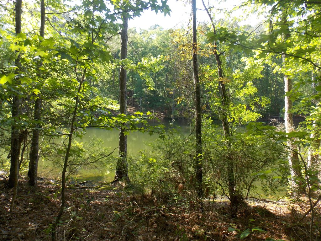 Photo of 13 RIVERVIEW CT, Lincolnton, GA 30817 (MLS # 541157)