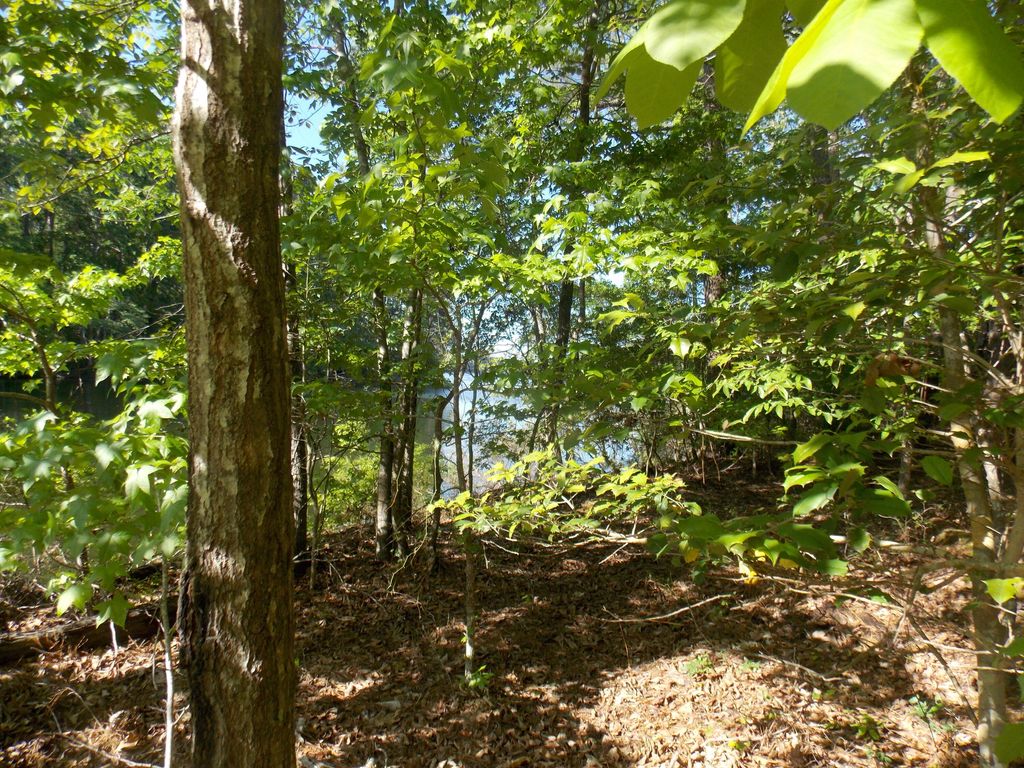 Photo of 13 RIVERVIEW CT, Lincolnton, GA 30817 (MLS # 541157)