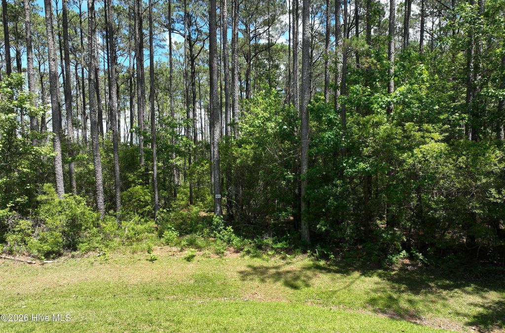 Photo of 137 Bluefin Court, Beaufort, NC 28516 (MLS # 100575543)