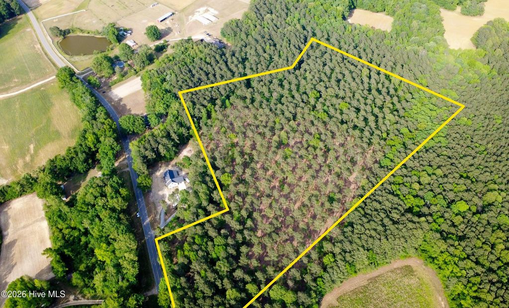 Photo of 000 Tbd Lancaster Store Road Road, Spring Hope, NC 27882 (MLS # 100568497)