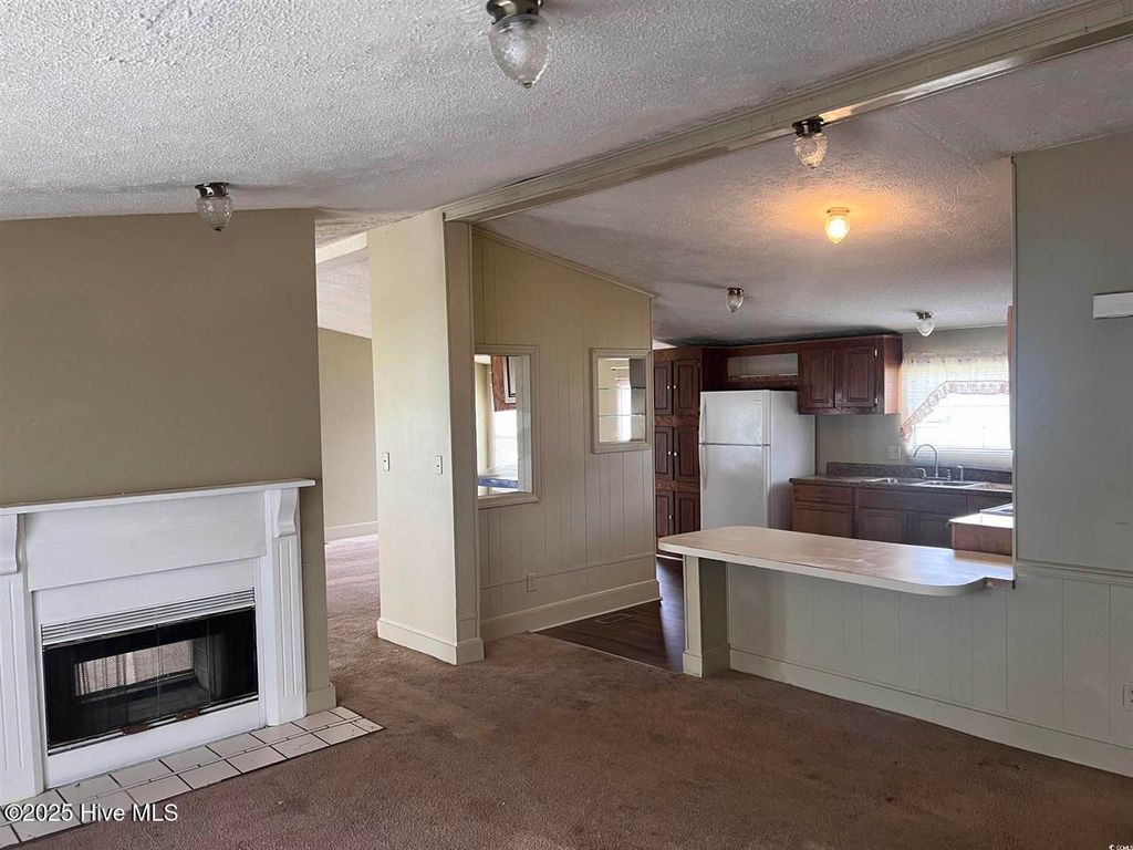 Photo of 99 Melbourne Road, Rowland, NC 28383 (MLS # 100546598)