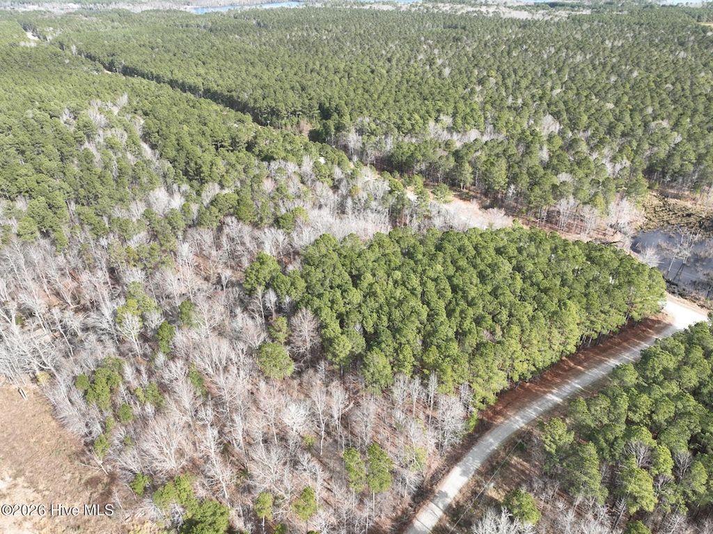 Photo of 405 Batts Island Road, Edenton, NC 27932 (MLS # 100552324)