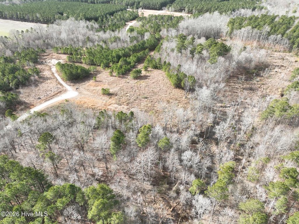 Photo of 405 Batts Island Road, Edenton, NC 27932 (MLS # 100552324)