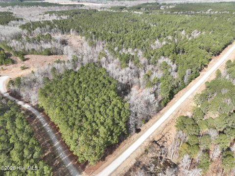 Vacant Land For Sale - 405 Batts Island Road<br/> Edenton, NC 27932