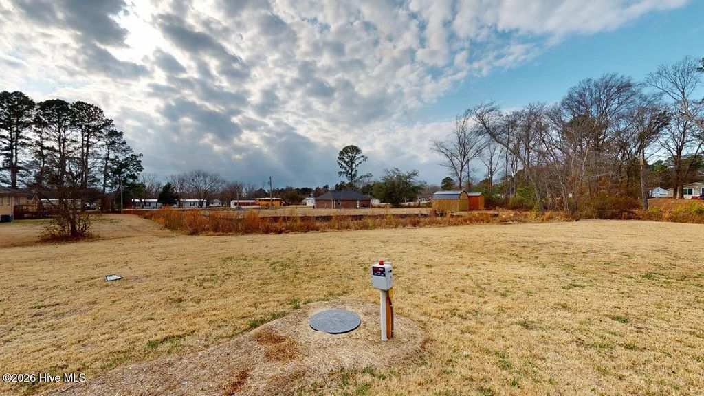 Photo of 103 Sandy Spring Drive, Goldsboro, NC 27534 (MLS # 100567562)