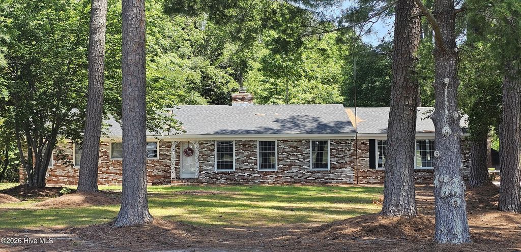 Photo of 600 Terrace Lane, Conway, NC 27820 (MLS # 100575362)