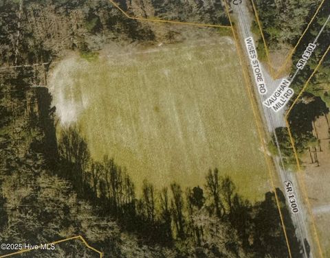 Vacant Land For Sale - TBD Wise Store Rd. Lot 3<br/> Murfreesboro, NC 27855