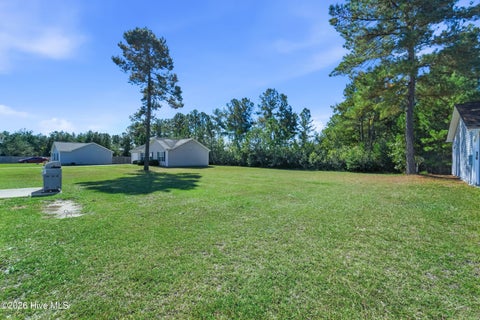 Tiny photo for 178 Ashbury Park Lane, Richlands, NC 28574 (MLS # 100610082)