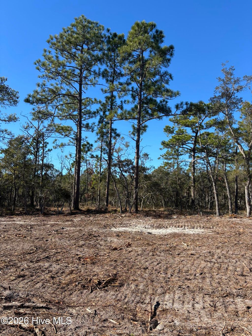 Photo of 124 Coral Gull Street, Southport, NC (MLS # 100572894)