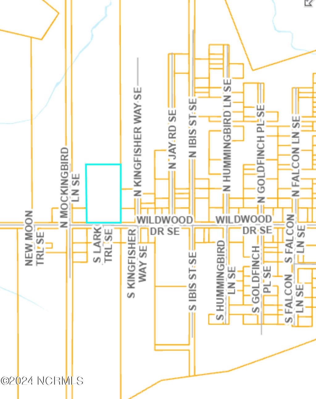 Photo of 16 Wildwood, Boiling Spring Lakes, NC 28461 (MLS # 100449056)