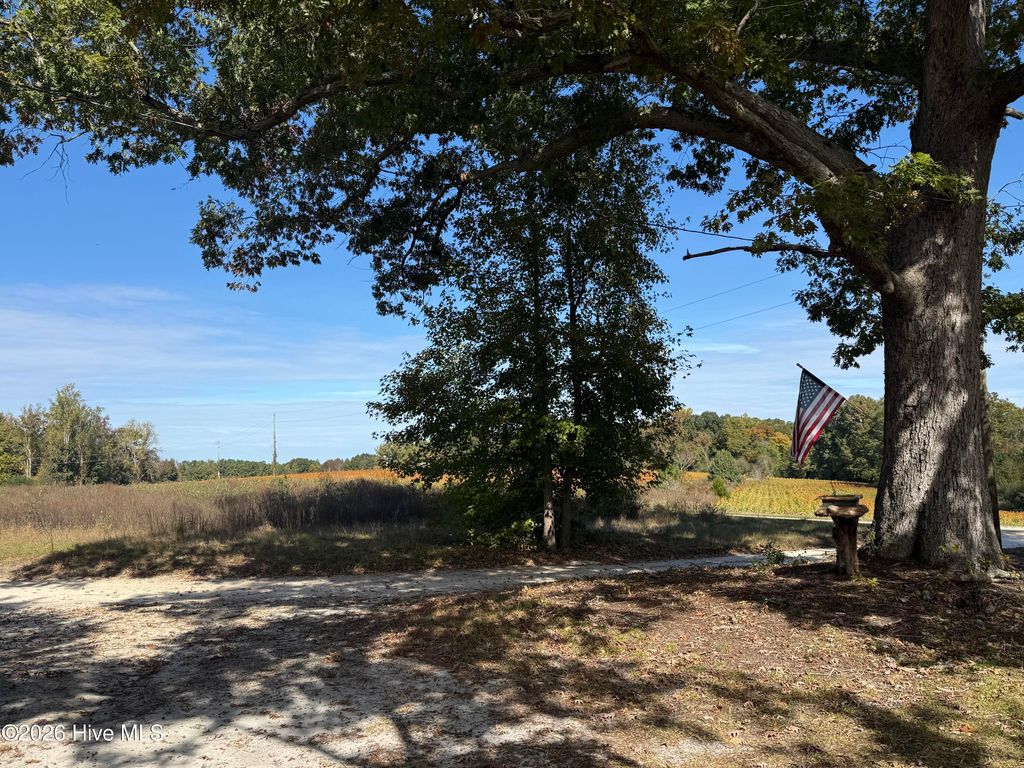 Photo of 119 Bessie Road, Carthage, NC 28327 (MLS # 100584872)