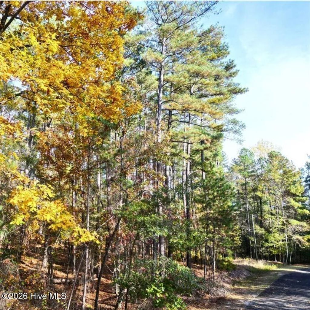 Photo of 151 Cobblestone Place, West End, NC 27376 (MLS # 100549029)