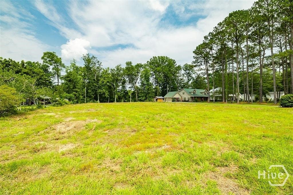 Photo of 0 Seines Landing, Springfield, GA 31329 (MLS # SA362509)