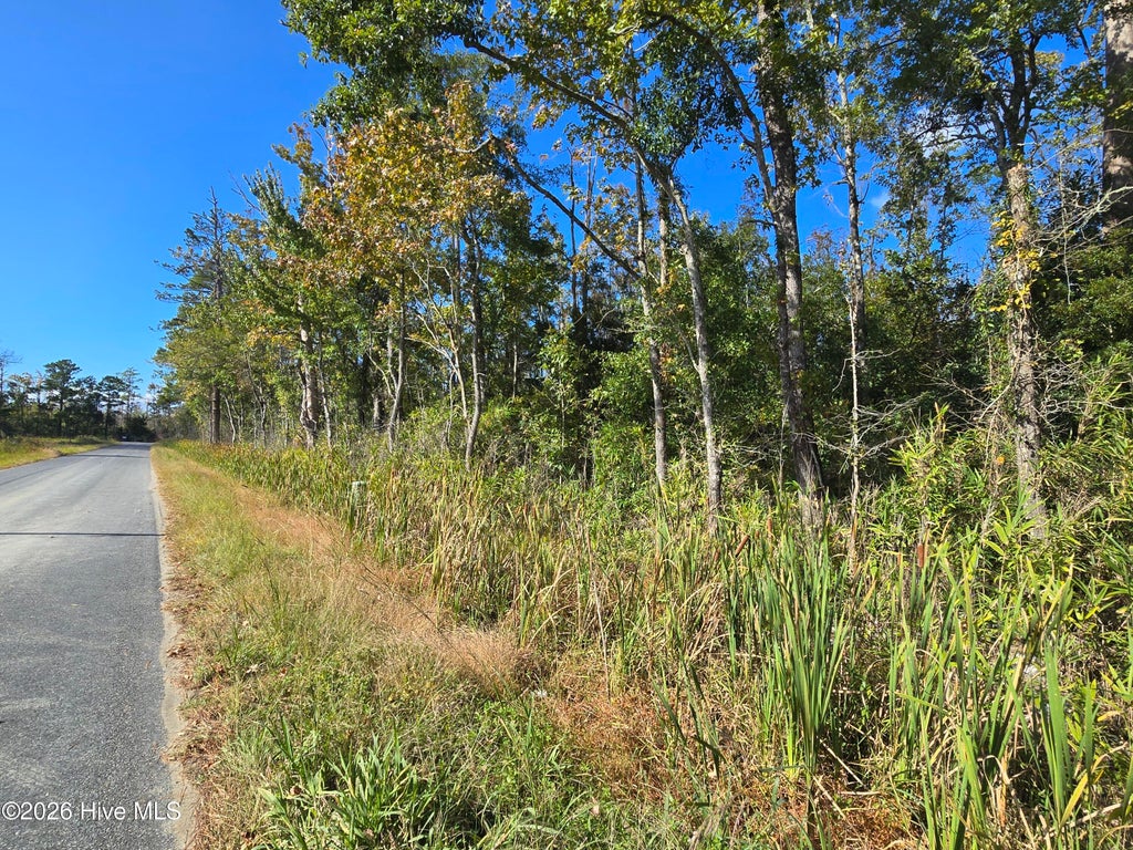 Photo of 0 Newlands Road, Columbia, NC 27925 (MLS # 100611860)