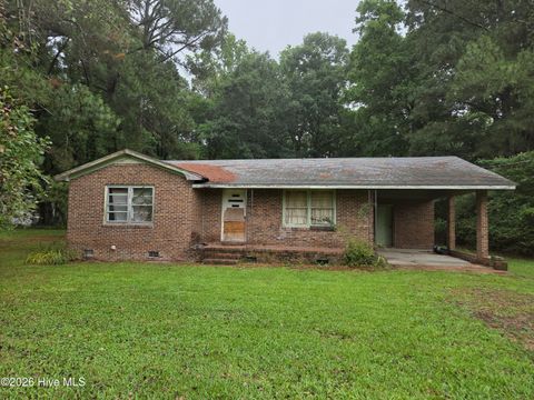 Photo of 211 E Modlin Road, Ahoskie, NC 27910 (MLS # 100585171)