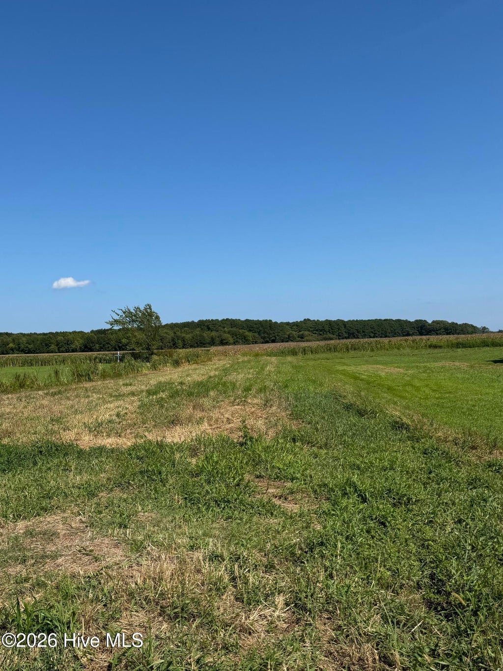 Photo of 0 Salem Church Road, Elizabeth City, NC 27909 (MLS # 100600237)