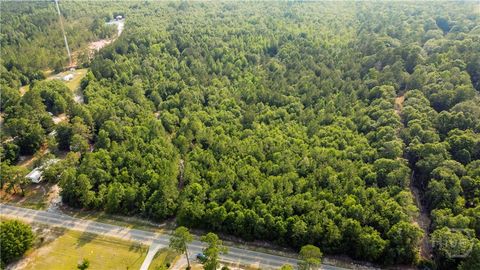 Vacant Land For Sale - Halcyondale Road<br/> Screven County, Sylvania, GA 30467
