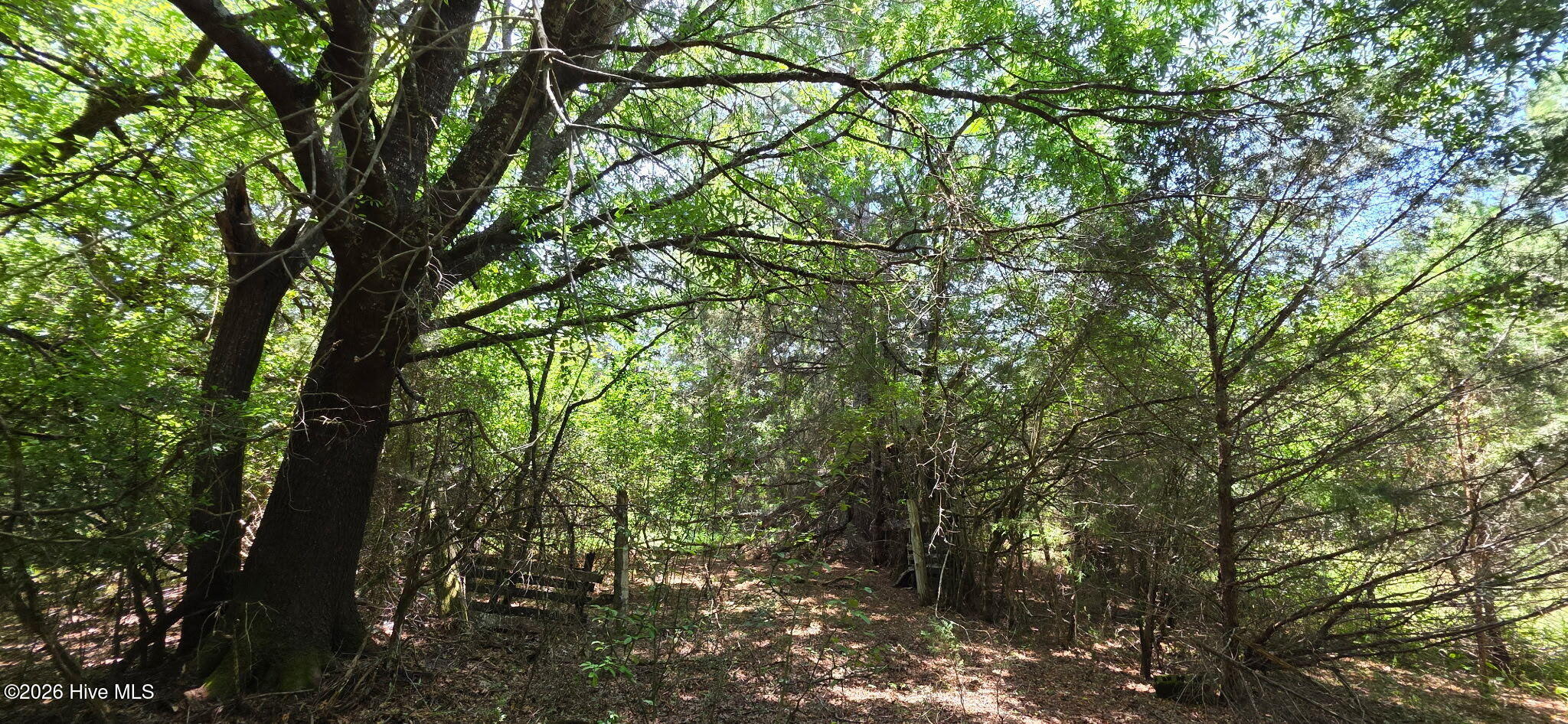 5.5d Chestnut Ridge Road