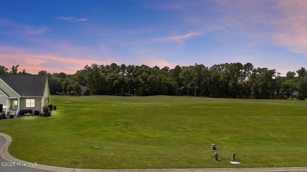 Photo of 294 Tayriver, Rocky Mount, NC 27804 (MLS # 100524290)