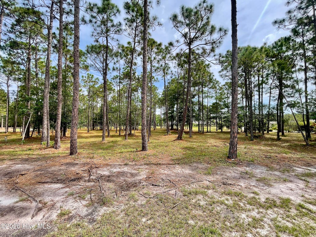 Photo of 6804 Beckman Circle SW, Ocean Isle Beach, NC 28469 (MLS # 100588665)
