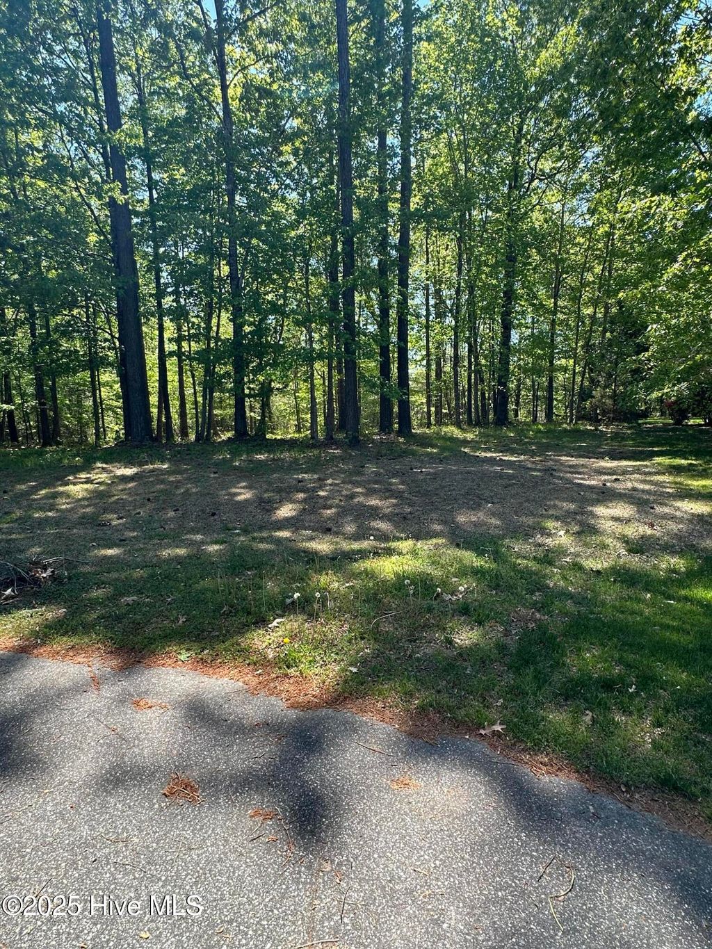 Photo of 11 Mattaponi Drive, Hertford, NC 27944 (MLS # 100575179)