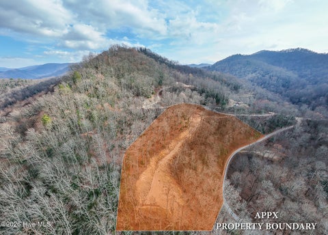 Vacant Land For Sale - LOT 20 Walnut Cove Branch<br/> Graham County, Robbinsville, NC 28771