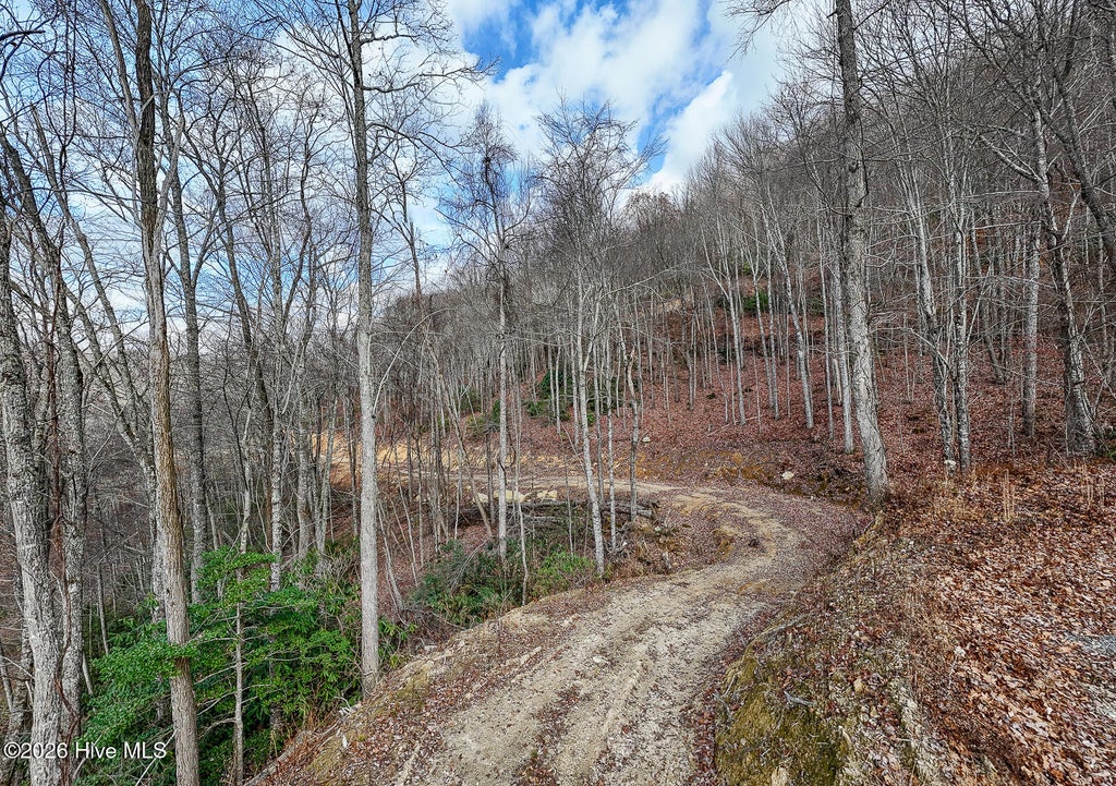 Photo of 20 Walnut Cove Branch, Robbinsville, NC 28771 (MLS # 100606875)