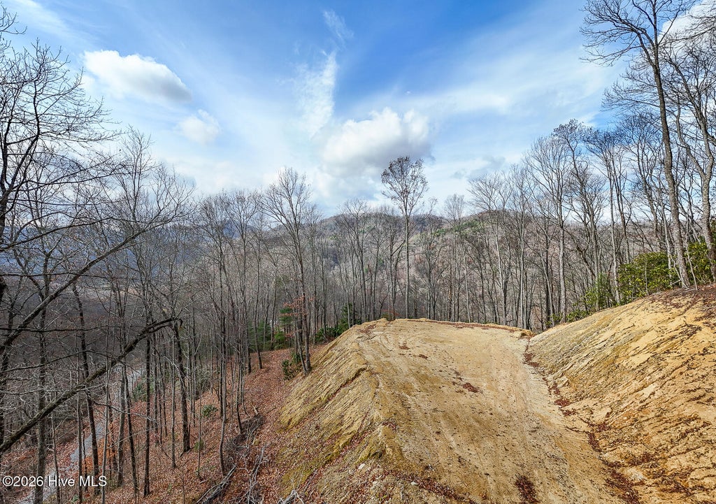 Photo of 20 Walnut Cove Branch, Robbinsville, NC 28771 (MLS # 100606875)