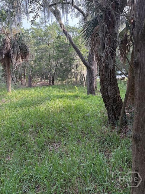 Vacant Land For Sale - 2nd Street<br/> Savannah, GA 31410