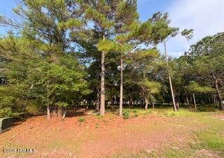 Photo of 2110 Oyster Harbour Parkway SW, Supply, NC 28462 (MLS # 100595582)