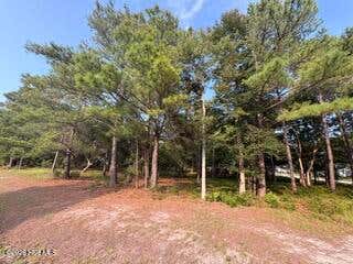 Photo of 2110 Oyster Harbour Parkway SW, Supply, NC 28462 (MLS # 100595582)