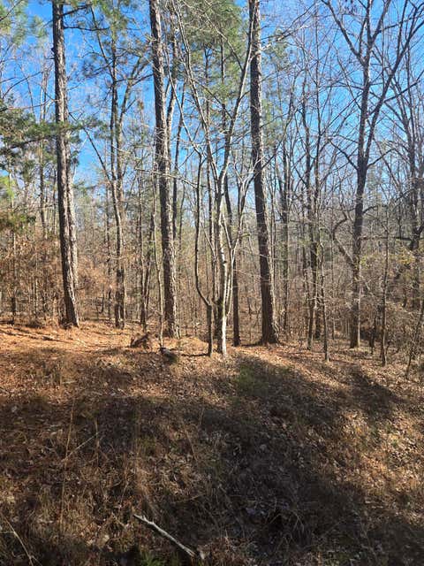Vacant Land For Sale - 00 Bay Shore Drive<br/> Lincolnton, GA 30817