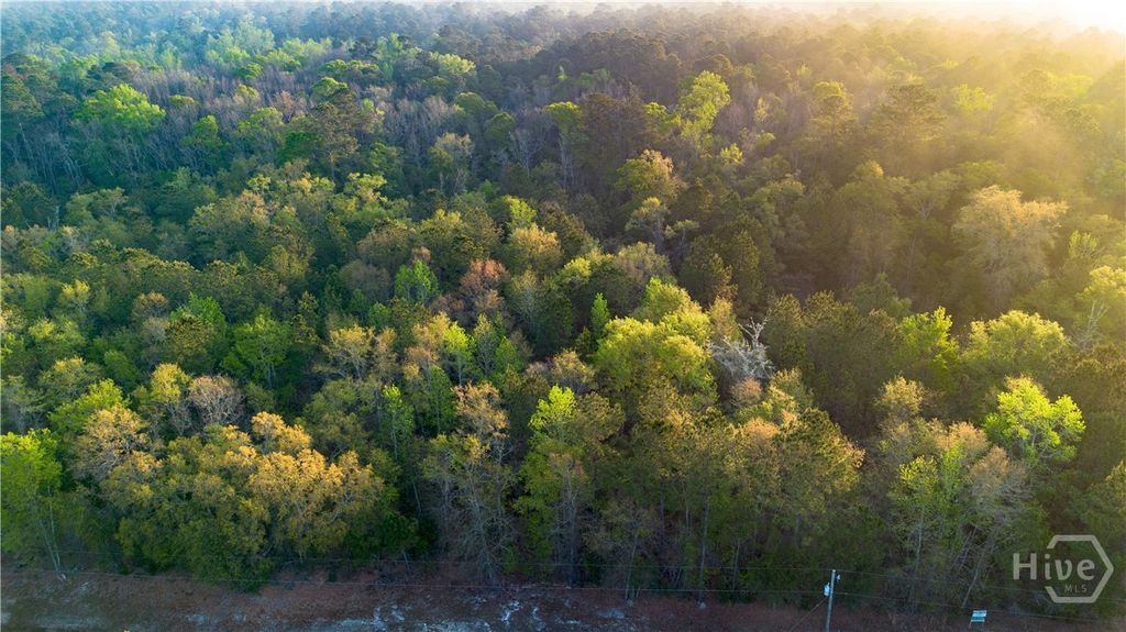 Photo of 0 Little McCall Road, Rincon, GA 31326 (MLS # SA352372)