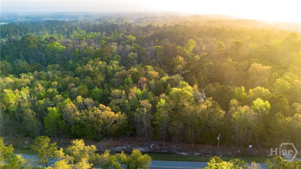 Photo of 0 Little McCall Road, Rincon, GA 31326 (MLS # SA352372)