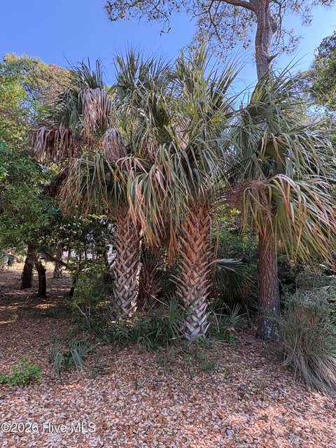 Tiny photo for 222 N Bald Head, Bald Head Island, NC 28461 (MLS # 100598207)