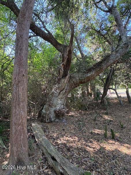 Tiny photo for 222 N Bald Head, Bald Head Island, NC 28461 (MLS # 100598207)